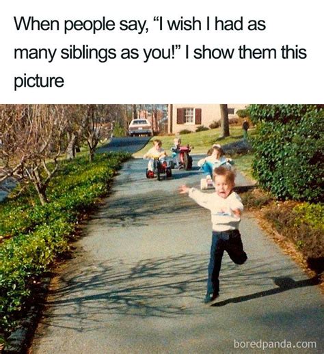 younger sibling memes|30 Of The Best Sibling Memes Ever .